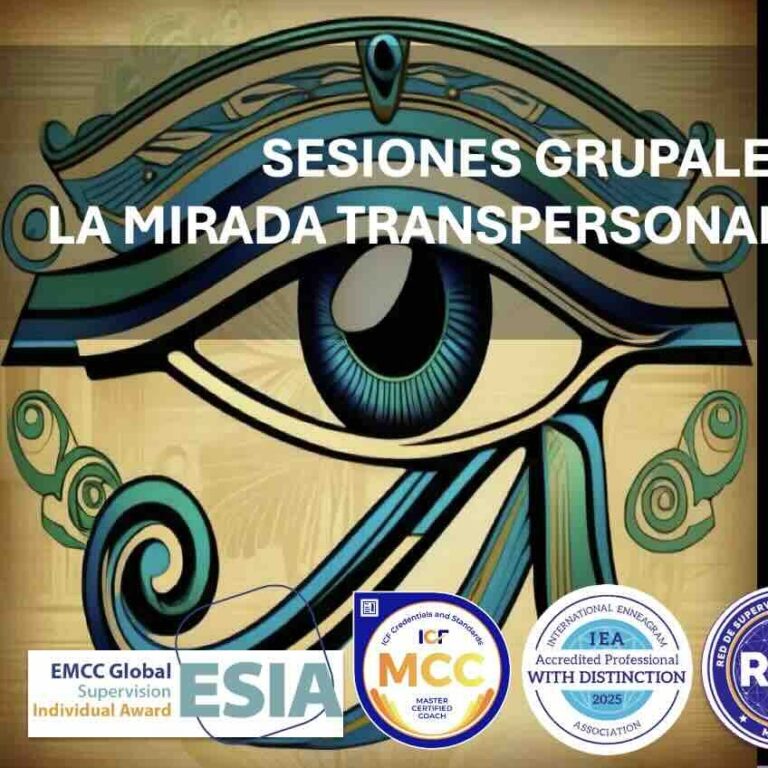 Meta-visión para Coaches