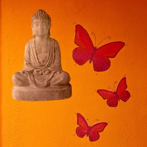 Taller «Meditación y Coaching»