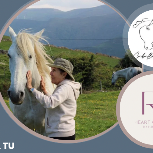 Sesiones individuales de bienestar emocional y coherencia cardiaca asistida de caballos