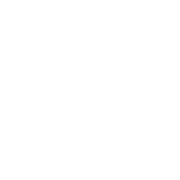 Plan Directorio + Agenda