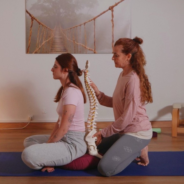 FISIOYOGA Y ESTIRAMIENTOS CADENAS MUSCULARES